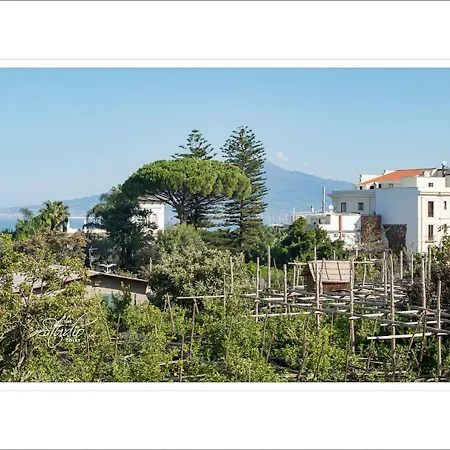 לינה וארוחת בוקר Orsola Maison